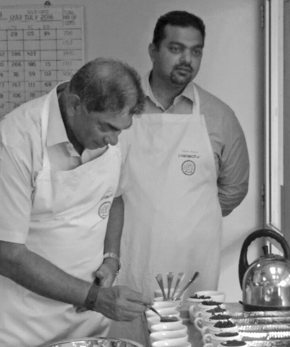 Sri Lankan Tea Gardens