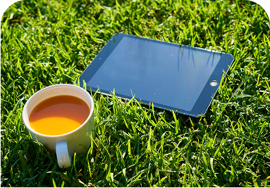 Solar Tea Drying